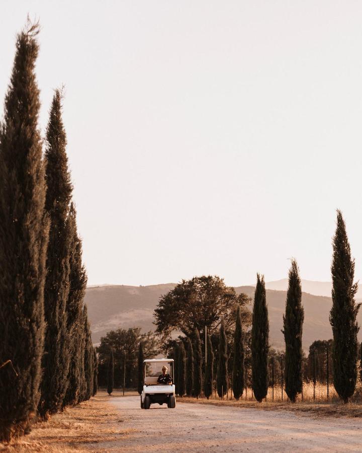 Ca' Del Conte Bed and Breakfast Padula Buitenkant foto