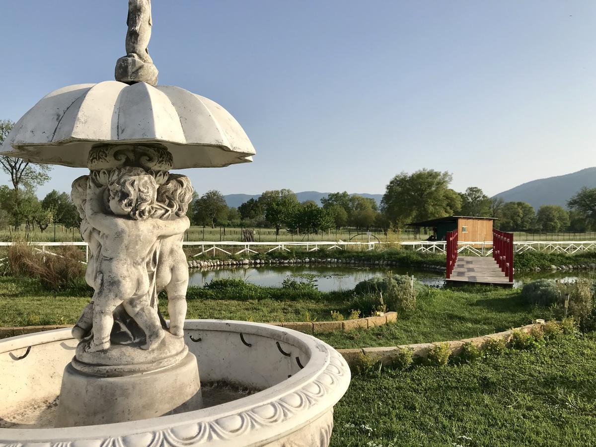 Ca' Del Conte Bed and Breakfast Padula Buitenkant foto
